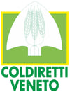 LOGO COLDIRETTI VENETO alta definizione