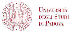 Logo Università di padova