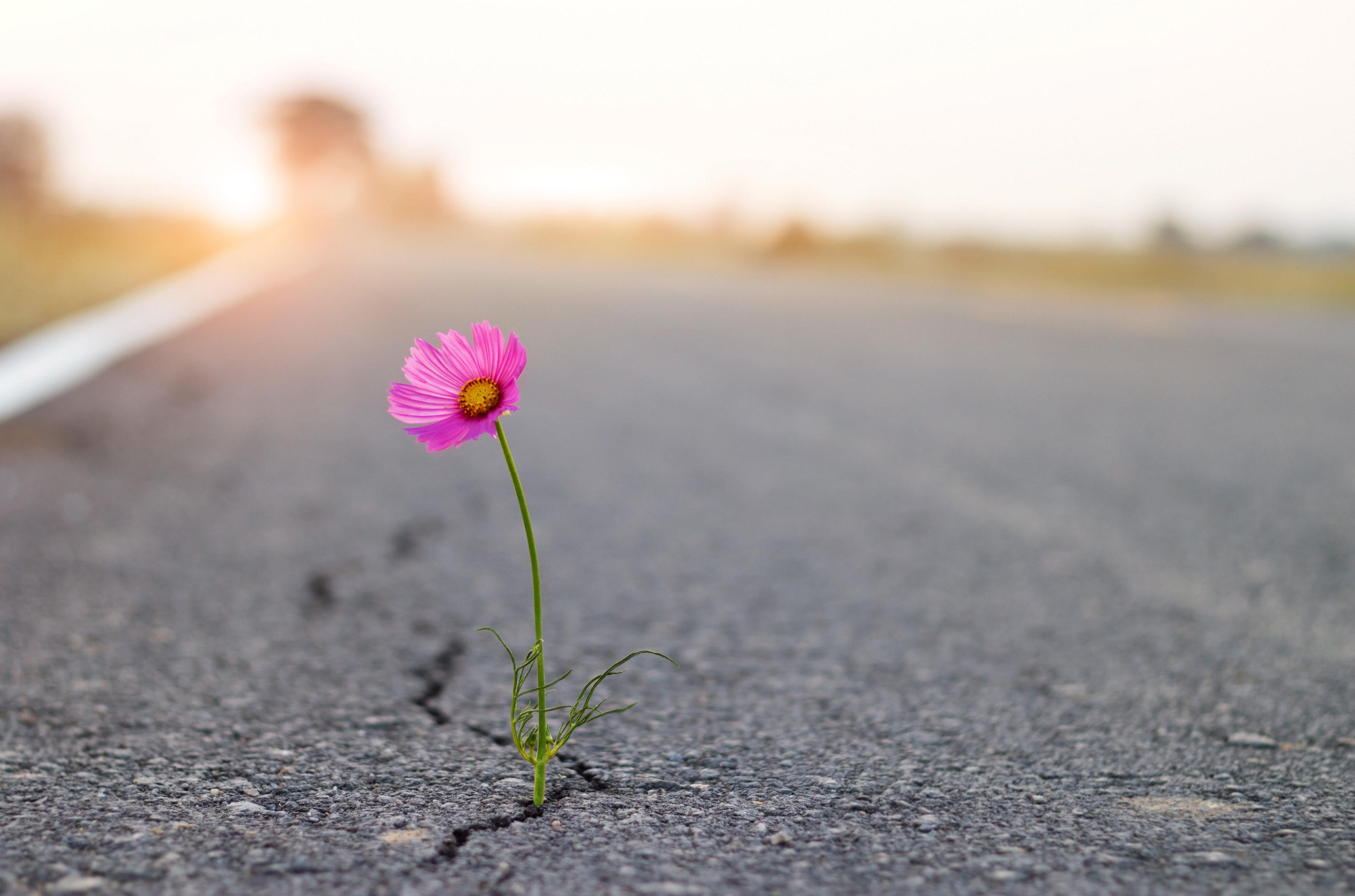 AdobeStock_323829712