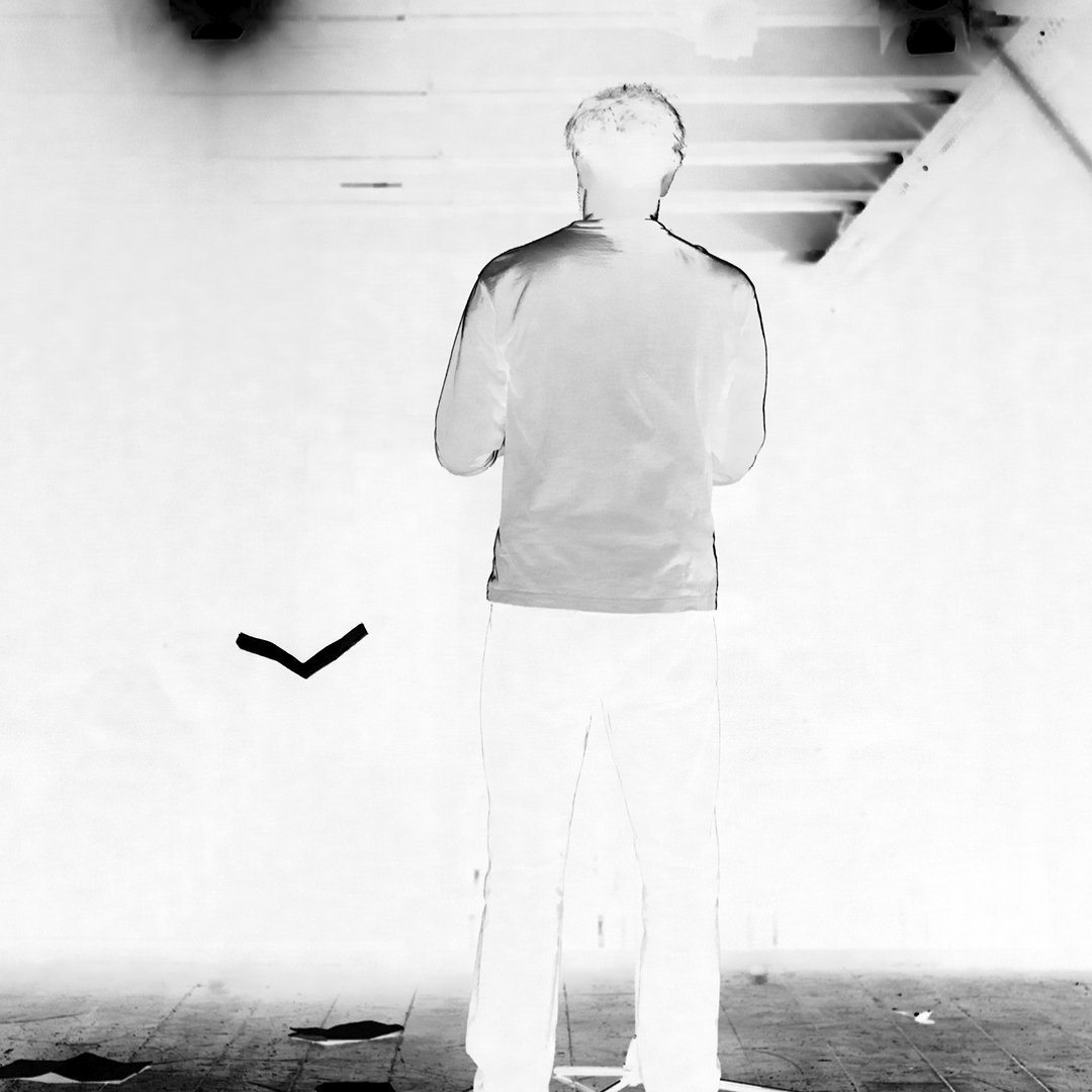 Tirannosauro_Anteprima Tirannosauro_Anteprima