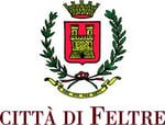 logo feltre
