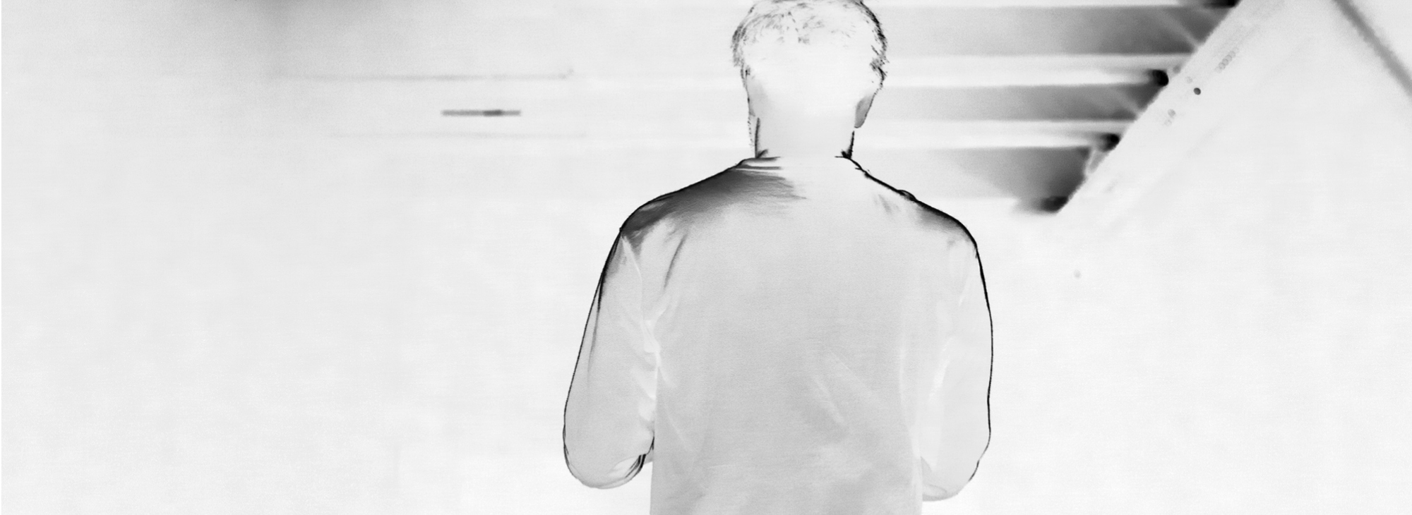 Tirannosauro_Testata Tirannosauro_Testata